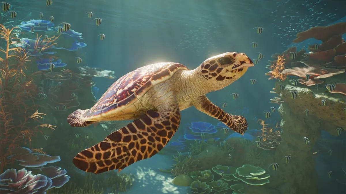 Planet Zoo 2 gameplay trailer'is rodo, kaip veiks akvariumai ir aviarijai