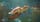 Planet Zoo 2 gameplay trailer'is rodo, kaip veiks akvariumai ir aviarijai