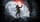 Rise of the Tomb Raider: 20 Year Celebration – apžvalga Switch 2