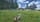 Xenoblade Chronicles 2: Torna ~ The Golden Country