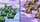 Advance Wars