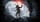 Rise of the Tomb Raider