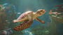 Planet Zoo 2 gameplay trailer'is rodo, kaip veiks akvariumai ir aviarijai