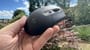 Logitech G305 X Superlight apžvalga: geresnis pelės, bet ar verta kaina?