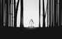 Facepunch direktorius Alistair McFarlane paliko kompaniją