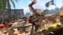 Assassin's Creed Black Flag Resynced žaidėjai pritūpę praleido 8 milijonus valandų ir paglostė 28 milijonus gyvūnų