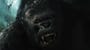 Peter Jackson's King Kong: The Official Game of the Movie